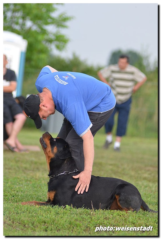 Excalibur vom Quercus Wald Excalibur vom Quercus Wald